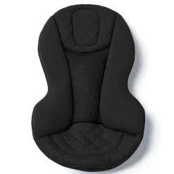 Evolve 3-in-1 Babysitter Onyx Black Babysitter & Gungor