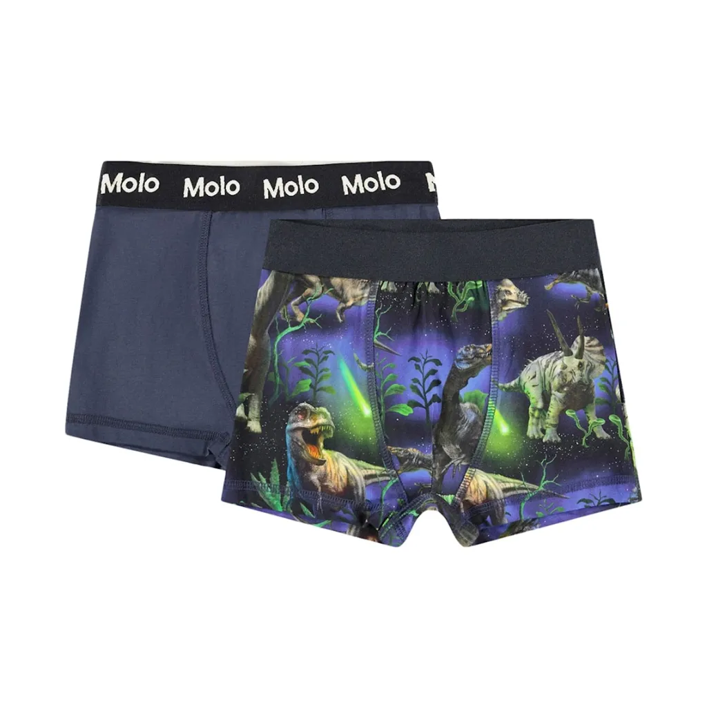 New GOTS Justin 2-pack Boxershorts Dino Galaxy Barn Underkläder