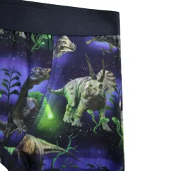 New GOTS Justin 2-pack Boxershorts Dino Galaxy Barn Underkläder