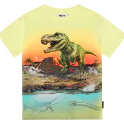Sale GOTS Riley T-shirt Volcano Dino Barn Tröjor & Toppar
