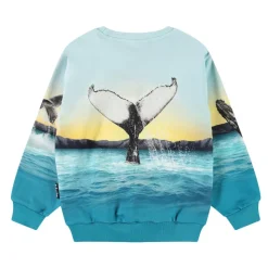 Clearance Monti Sweatshirt Whale Jump Barn Tröjor & Toppar