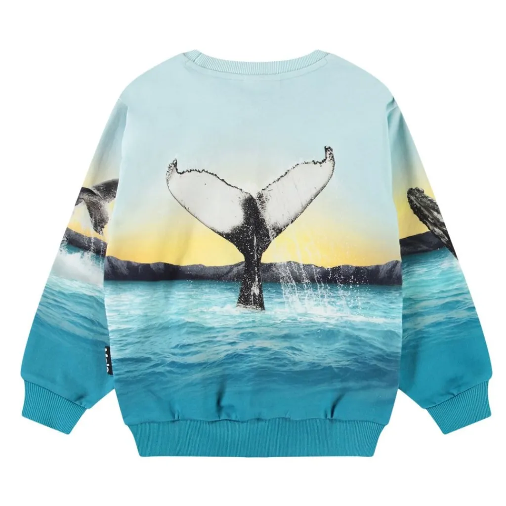 Clearance Monti Sweatshirt Whale Jump Barn Tröjor & Toppar