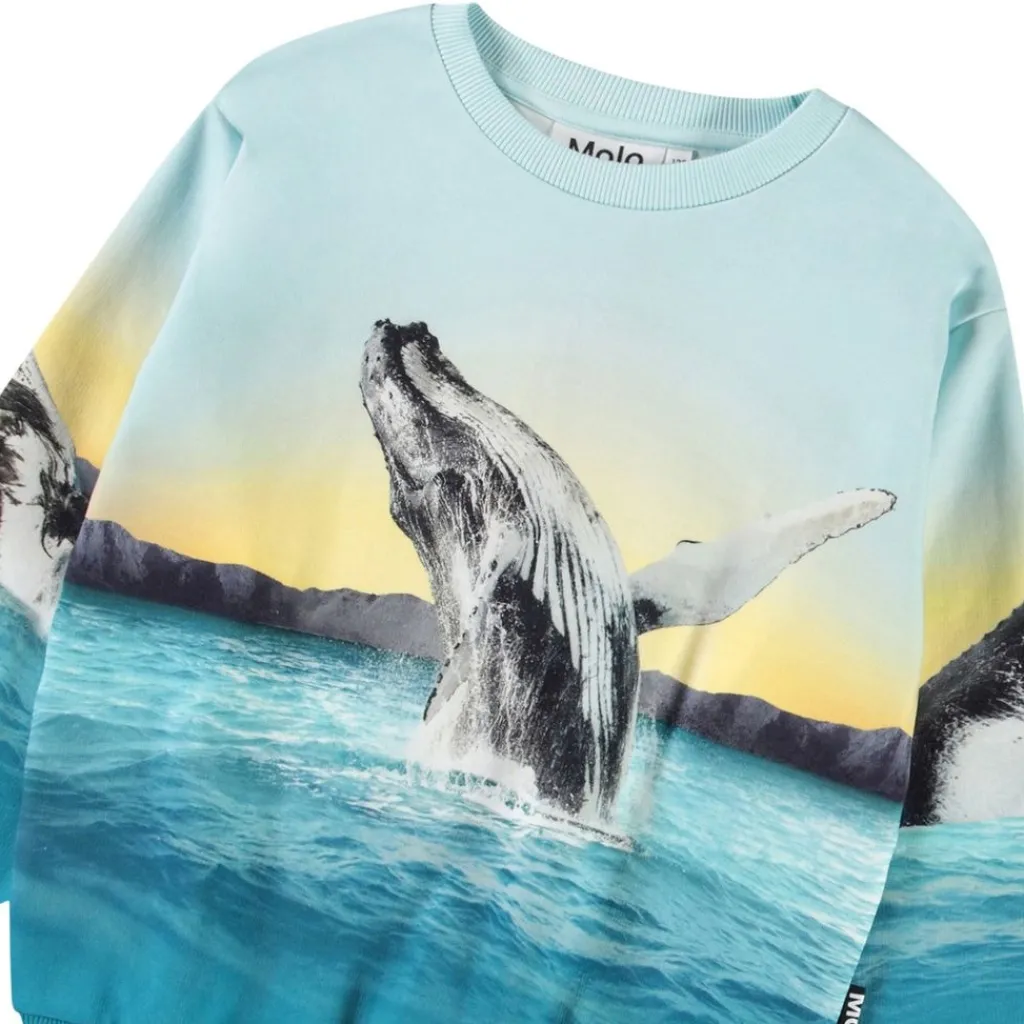 Clearance Monti Sweatshirt Whale Jump Barn Tröjor & Toppar