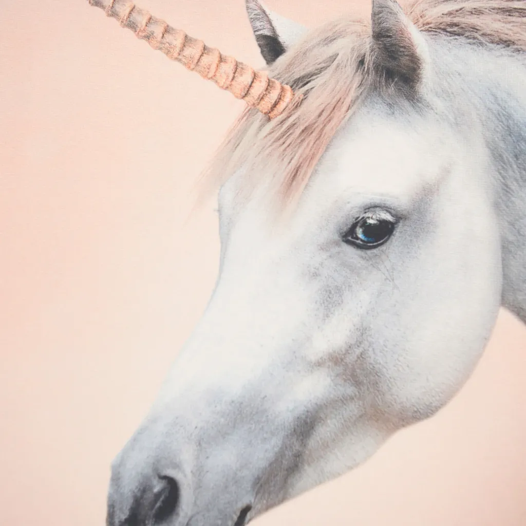 Sale Mountoo Sweatshirt Born A Unicorn Barn Tröjor & Toppar