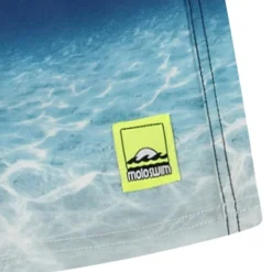 Hot Neal Boardshorts Faded Ocean Barn Uv-Kläder & Badkläder
