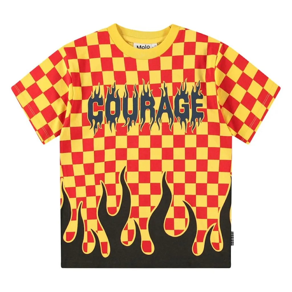 Hot Rodney Short-Sleeved T-Shirt Flame Check Barn Tröjor & Toppar