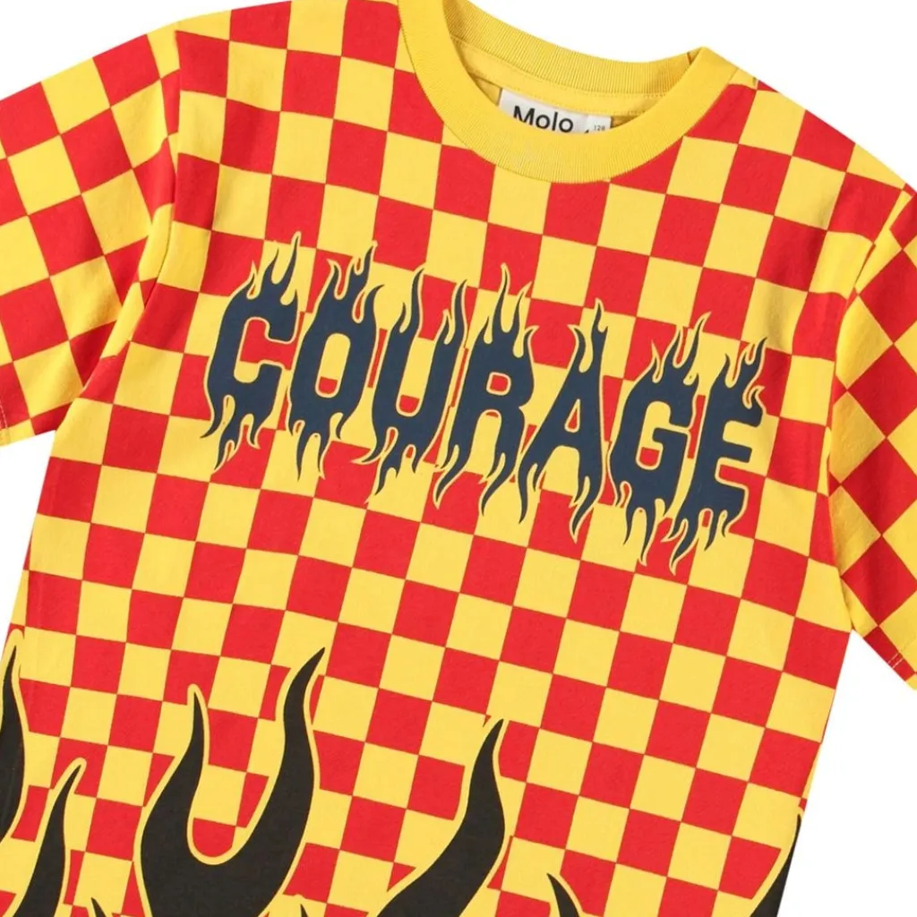 Hot Rodney Short-Sleeved T-Shirt Flame Check Barn Tröjor & Toppar