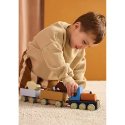Discount Tåg Med Bondgårdsdjur Multi Babyleksaker