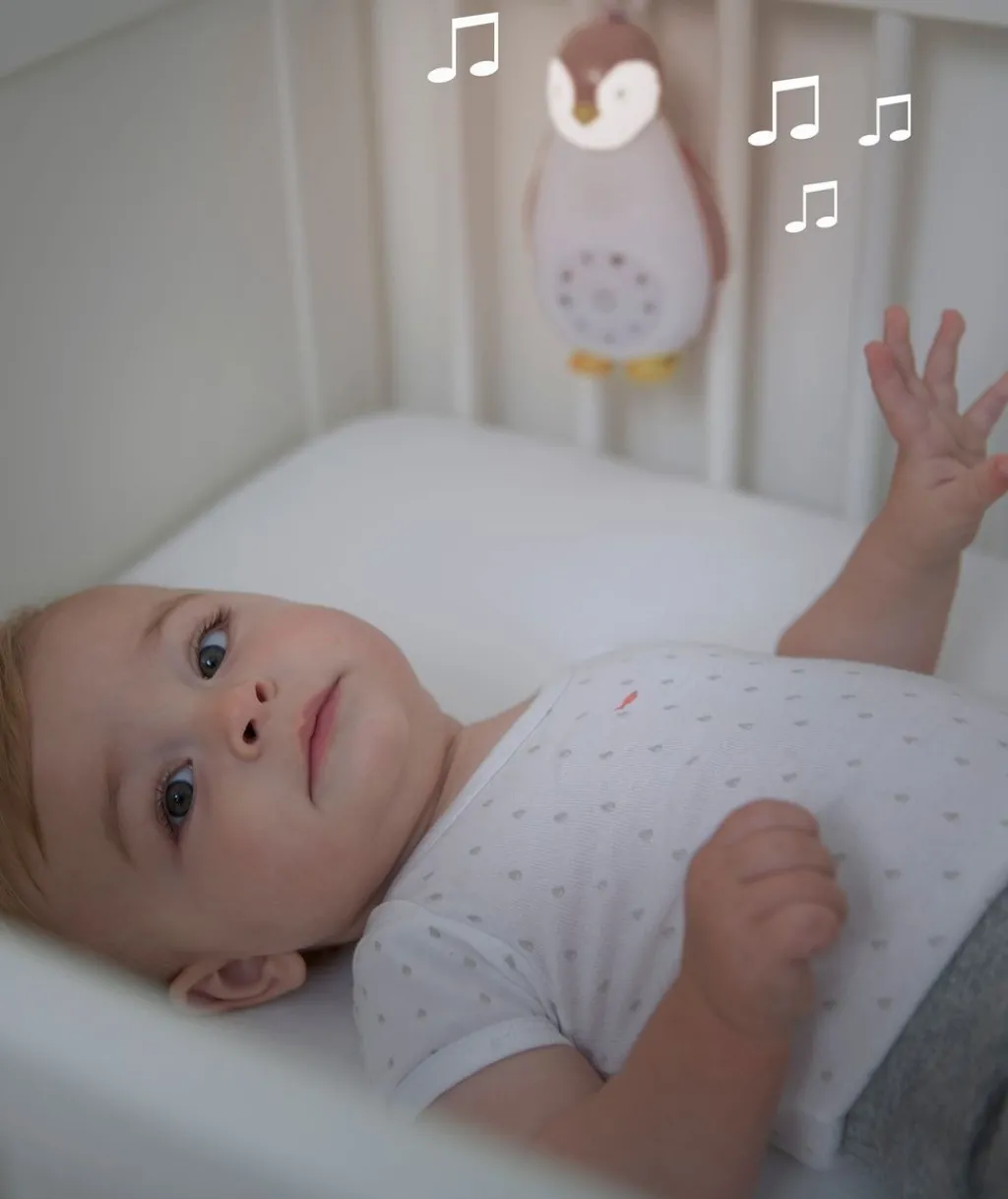 Discount Zoe Music Box Grå Belysning